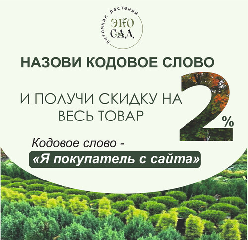 Скидка 2% на весь ассортимент