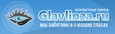 GlavLinza.ru, Интернет-магазин контактных линз