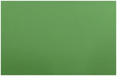 Табурет Тб17 (Экокожа) (Экокожа/зеленый)