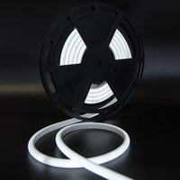 Термостойкая светодиодная лента для сауны и бани SWG SMD 2835 холодный белый свет (термолента 5 м, 180 LED/м, 12 Вт/м, 2