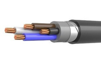 Кабель силовой ВВГнг(А)-LSLTx 4*2,5 ок(N)-0,66