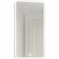 Зеркало-шкаф Jorno Pastel 46 (розовой иней) с подсветкой (Pas.03.46/PI)