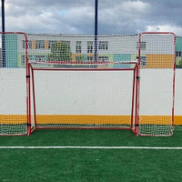 Ворота хоккейный с защитной сеткой