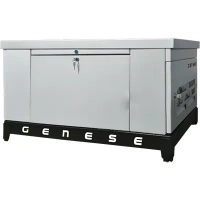 Газовый генератор Genese GE125 (в шумозащитном кожухе)