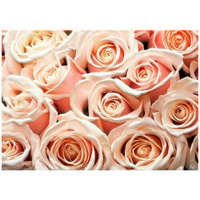 Букет розовых роз 3D - Виниловые фотообои, (211х150 см) Модный Дом